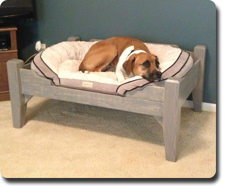 Large 'Prince' Pet Bed